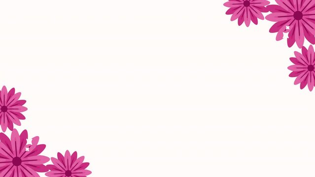 pink flowers garden frame animation