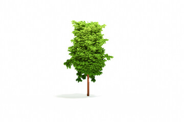 3d illustration. Isometric voxel trees. Low polygon tree. 3d rendered clay style on white background.
