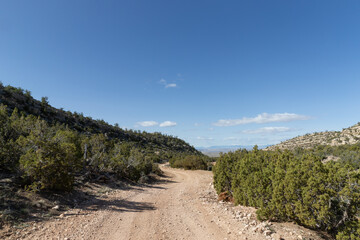 Secluded dirt trail road and scenic vista landscape in the Prior Mountains near the border of Wyoming and Montana
