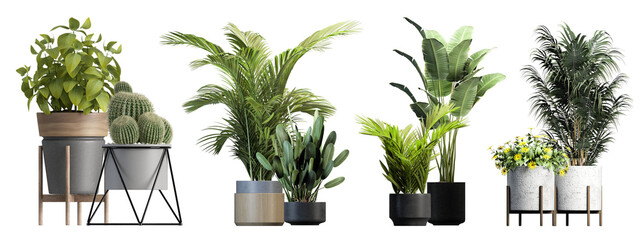 Plants in a pot