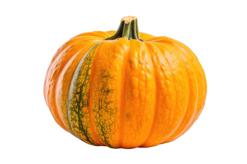 pumpkin isolated on white
