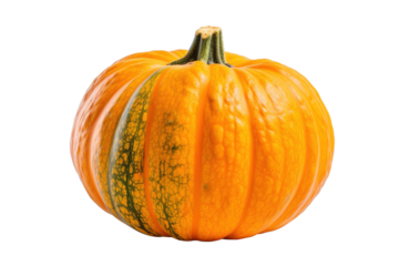pumpkin isolated on white