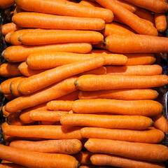 a lot of organic carrots