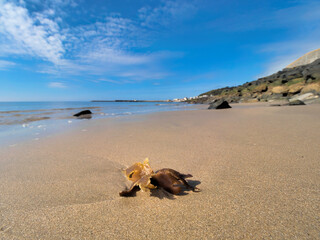 Church Beach Lyme Regis on a Sunny May Morning