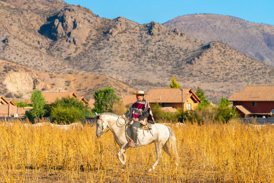 Huaso riding horse with mountains in background, Colina, Chile