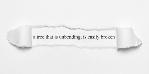 a tree that is unbending, is easily broken