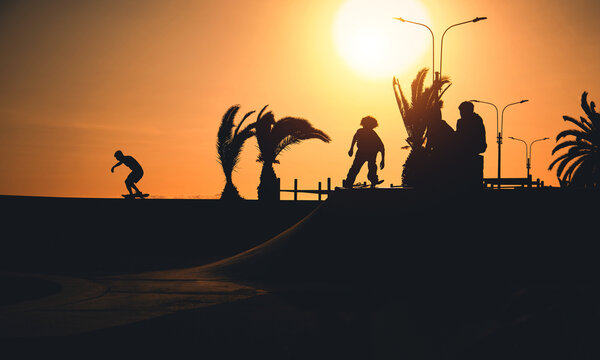 A group of teenage on skateboard at summer, silhouette unrecognizable.