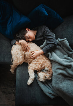 Overhead view of boy and fluffy dog sleeping on sofa together.
