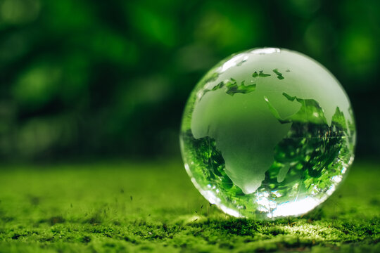 Globeglass in green grass forest with sunlight. Environment, save the earth, earth day and conservation.