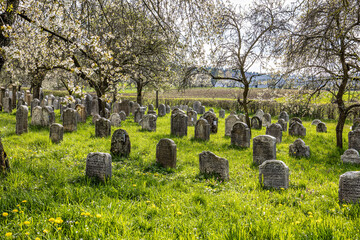 An old jewish cemetery at Hagenbach, Pretzfeld in Franconian Switzerland, Bavaria, Germany.