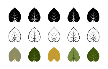 Philodendron acutifolium plant leaf vector icons. Isolated philodendron leaf icon collection for websites on white background. © Andrii