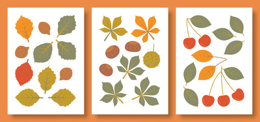 Vector illustration abstract still life of plant leaves and their fruits in pastel colors. Set of illustrations of beech, chestnut, cherry.
