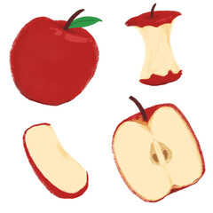 Red apple, apple cross section, finished apple, cut apple illustration
