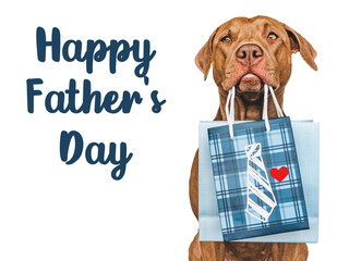 Happy Father's Day. Cute brown puppy and a gift bag. Close-up, indoors. Studio shot....