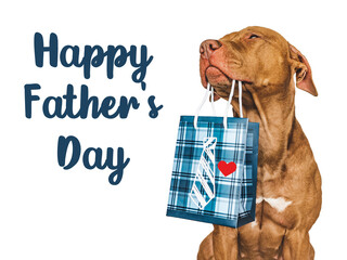 Happy Father's Day. Cute brown puppy and a gift bag. Close-up, indoors. Studio shot. Congratulations for family, loved ones, friends and colleagues. Pet care concept