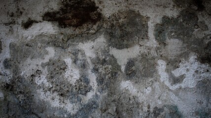 A close-up of a textured wall with no people in the background reveals intricate building features.