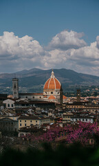 Fototapeta premium city del fiore city