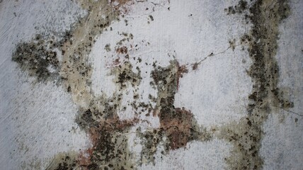 A close-up of a textured wall with no people in the background reveals intricate building features.