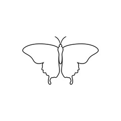 Butterfly vector icon. insect illustration sign. moth symbol.
