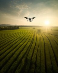 Naklejka na ściany i meble Agriculture Drone Spraying Wheat Crops in Vast Field