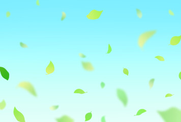 背景素材_落ち葉_空