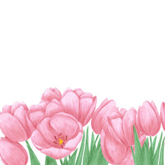 Obraz na płótnie Canvas Hand drawn watercolor pink tulips bouquet frame on white background. Scrapbook, post card, textile, invitation, album.