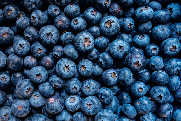 Freshly picked great bilberries, view from above. Summer food texture for background.