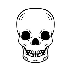 Hand drawing skull vector isolated on white background