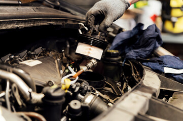An auto mechanic replaces a new fuel filter with a modern diesel engine. car service or preventive...