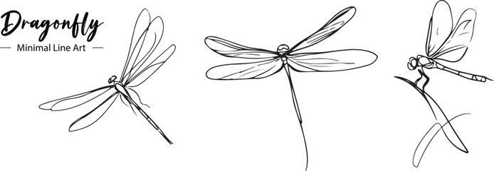 A dragonfly line art vector drawing  - obrazy, fototapety, plakaty