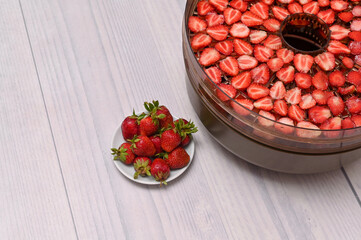 tray with strawberry slices into a food dehydrator machine.