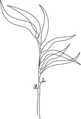 Obraz premium One line drawing of leaves, branch, flowers. Continuous line drawing of eucalyptus leaves. Floral single line poster. Contour drawing of plant. Abstract line art branch in modern linear style