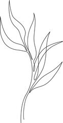 One line drawing of leaves, branch, flowers. Continuous line drawing of eucalyptus leaves. Floral single line poster. Contour drawing of plant. Abstract line art branch in modern linear style