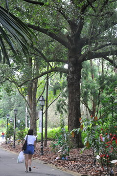 Republic of Singapore