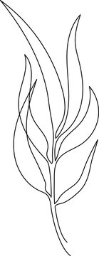 recommend clip art: One line drawing of leaves, branch, flowers. Continuous line drawing of eucalyptus leaves. Floral single line poster. Contour drawing of plant. Abstract line art branch in modern linear style