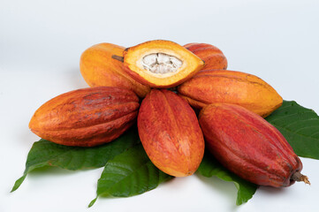 Organic fresh cut cocao pods