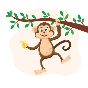 A monkey with a banana hangs on a tree branch. Vector illustration