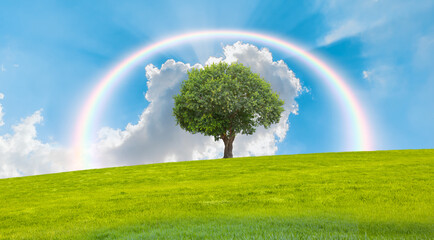 Beautiful landscape with green grass field and lone tree amazing rainbow in the background 