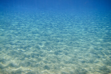 landscape with hills at the seabed in clear water during diving in egypt