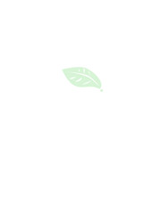 green leaf vector icon