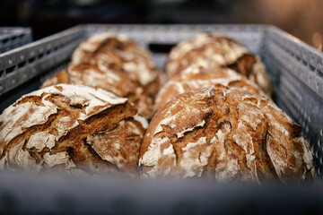 Lots of bread in a basket