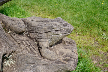 Fototapeta na wymiar A frog carved into wooden tree log. 