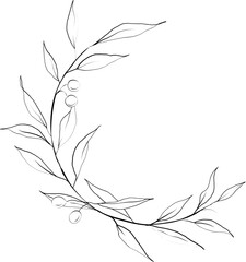 Olive leaves circle shape line art hand drawn element