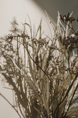 Aesthetic dried grass bouquet in sunlight shadows at neutral beige wall. Minimal Parisian vibes floral composition