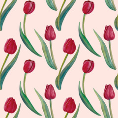 Seamless pattern of watercolor tulip flowers. Hand drawn illustration. Botanical hand painted floral elements on pink background.