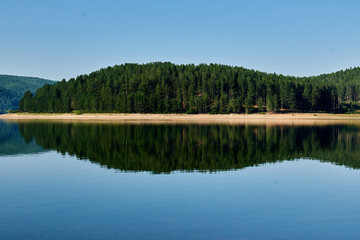 Forest on the beach with reflection in the sea water and a mountain with blue sky in the background