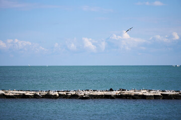 Stone pier juts out towards the horizon, with a few seagulls perched atop it
