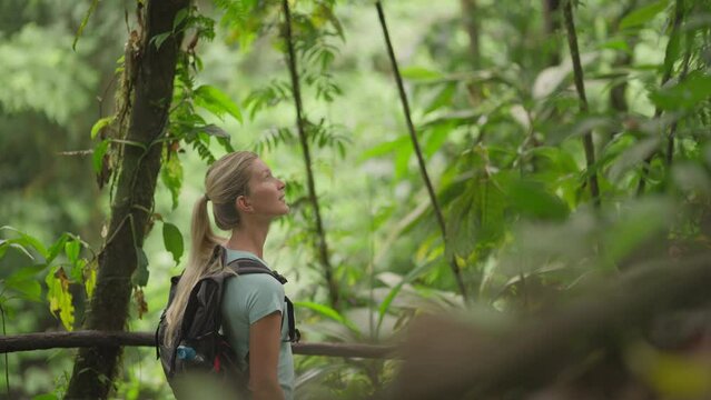 Attractive blond female backpacker curiously looking at tropical jungle