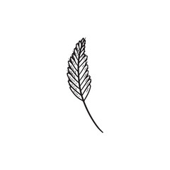 Beautiful realistic wheatear in black isolated on white background. Hand drawn vector sketch illustration in doodle engraved vintage style. Dough, wheat, bread, bakery, food symbol icon .