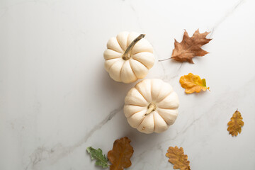 Top view of two white pumpkin food background autumn